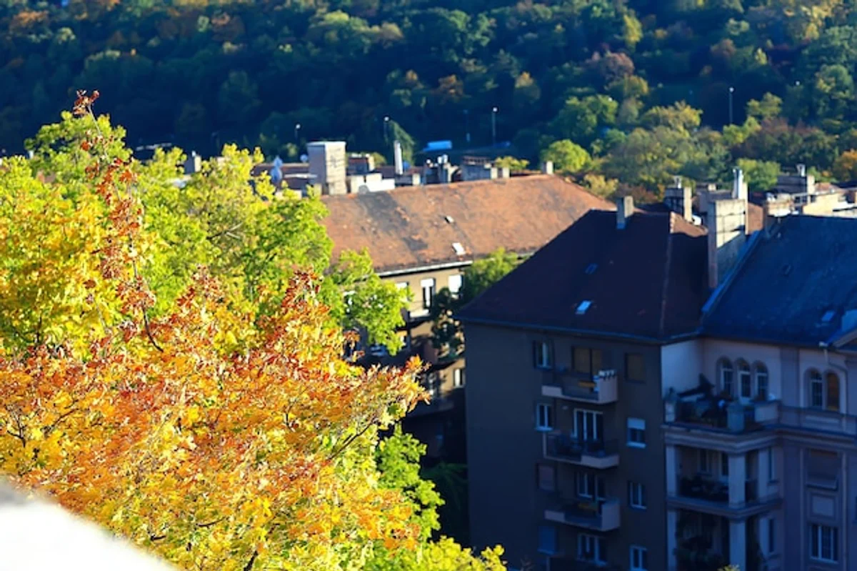 Autumn forest view Karlovy Vary panoramic leaf fall