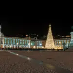 european november festival lights night crowd