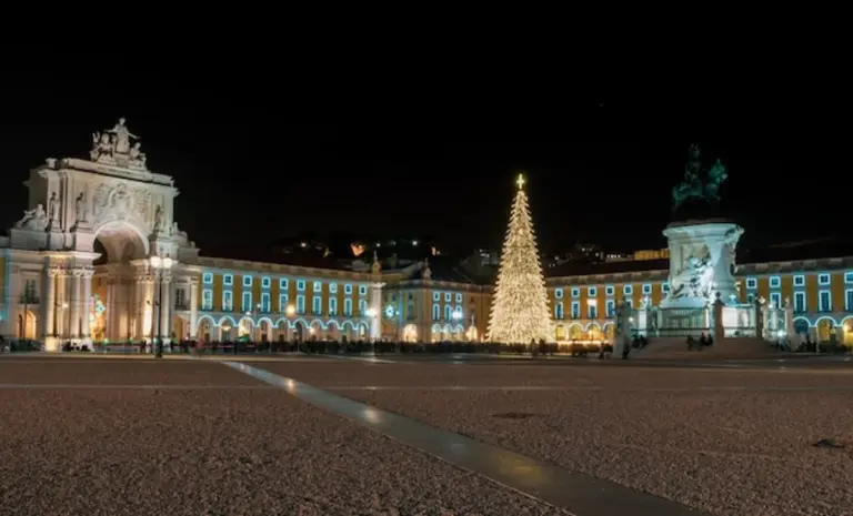 european november festival lights night crowd
