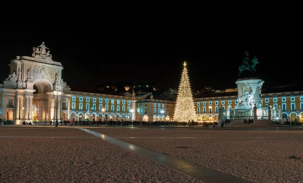european november festival lights night crowd