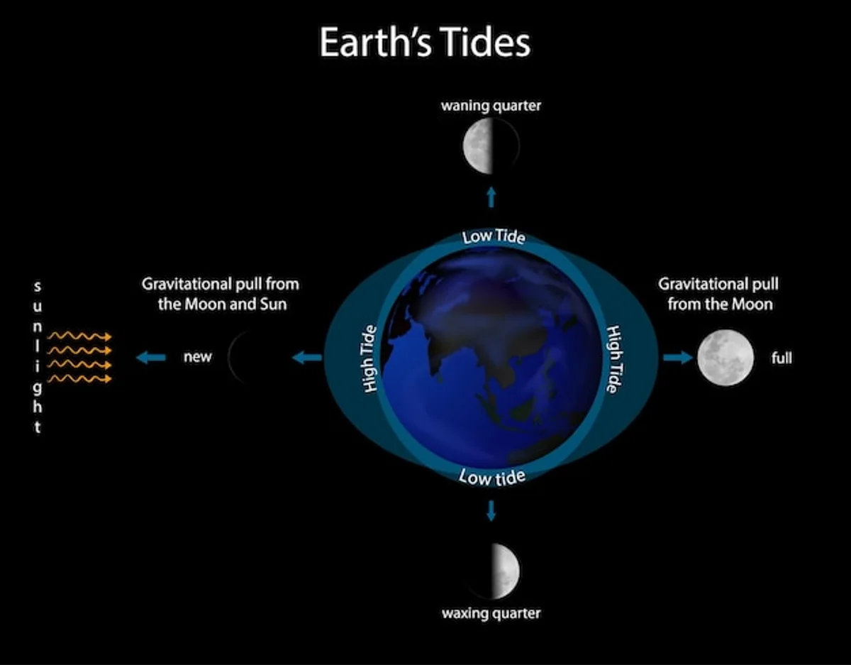 tide cycle moon phases ocean illustration
