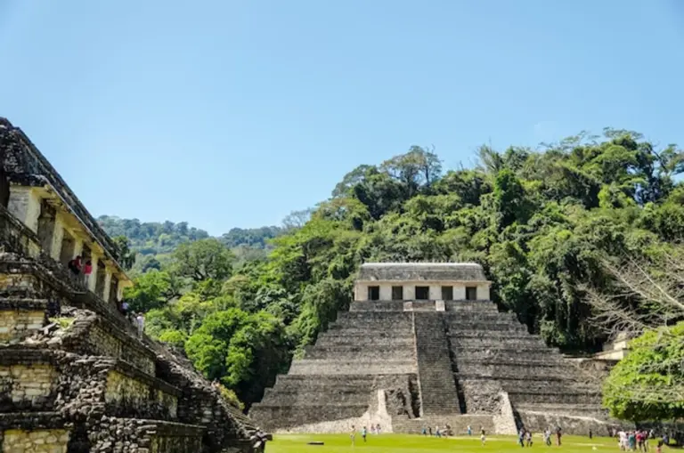 maya civilization collapse mystery ruins