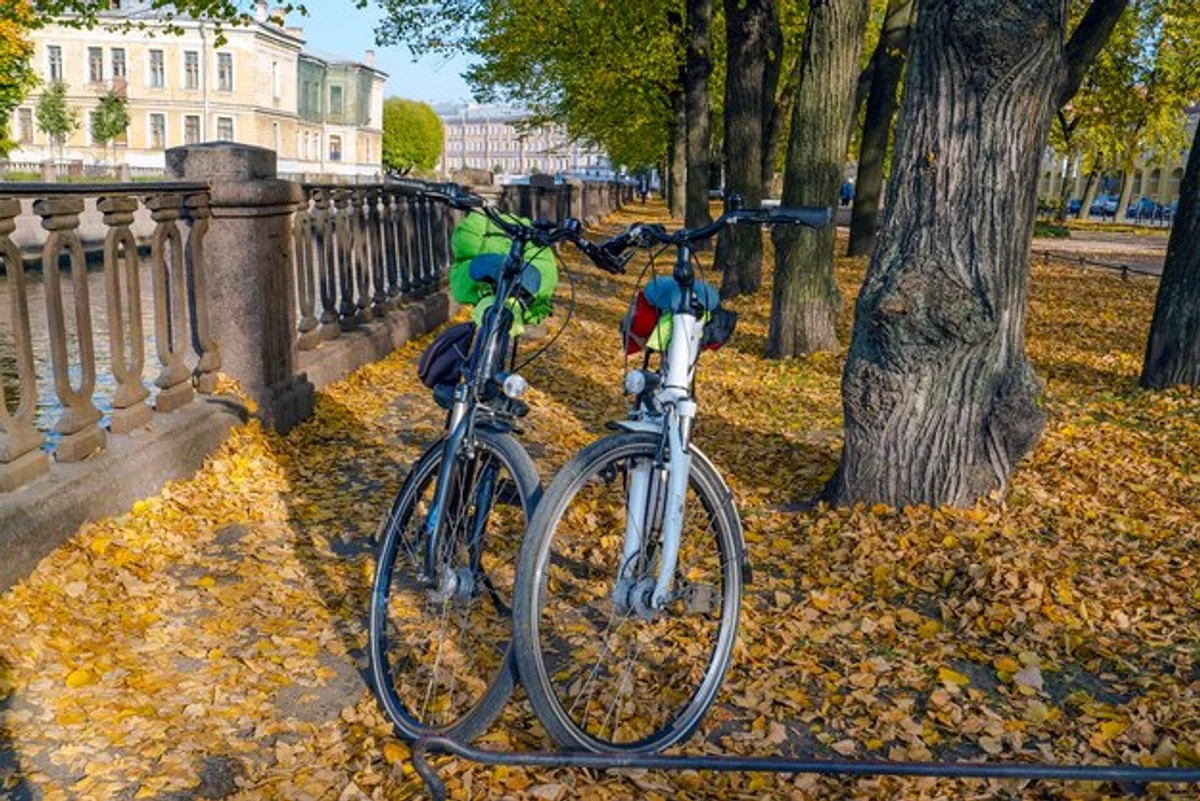 czech football stadium autumn crowd