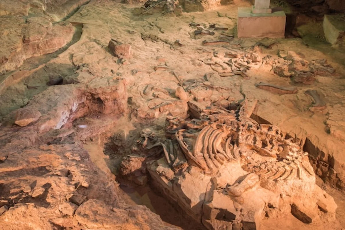 archaeological excavation site prague