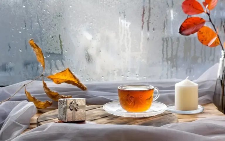 protect your smartphone from moisture autumn coffee