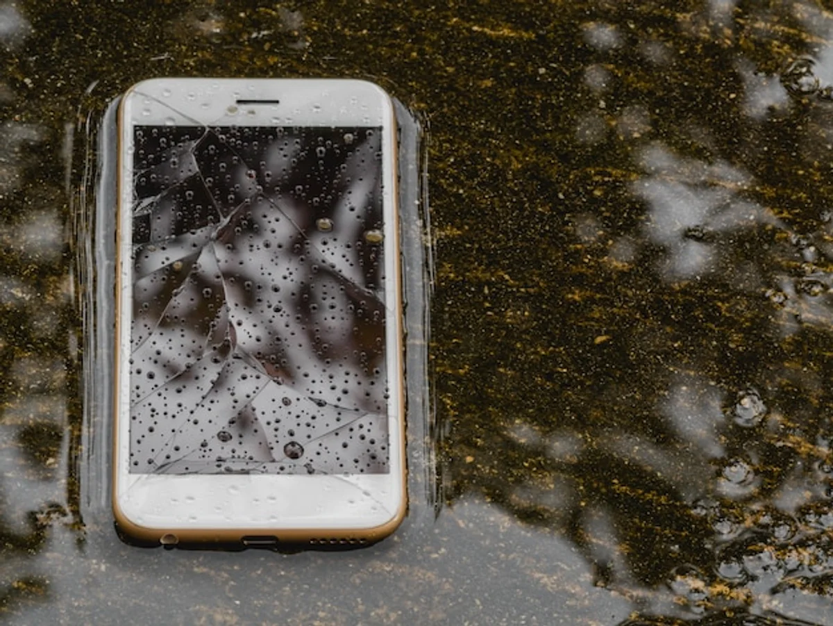 wet smart device on autumn leaves