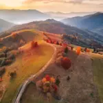 autumn foliage czech park gold red orange