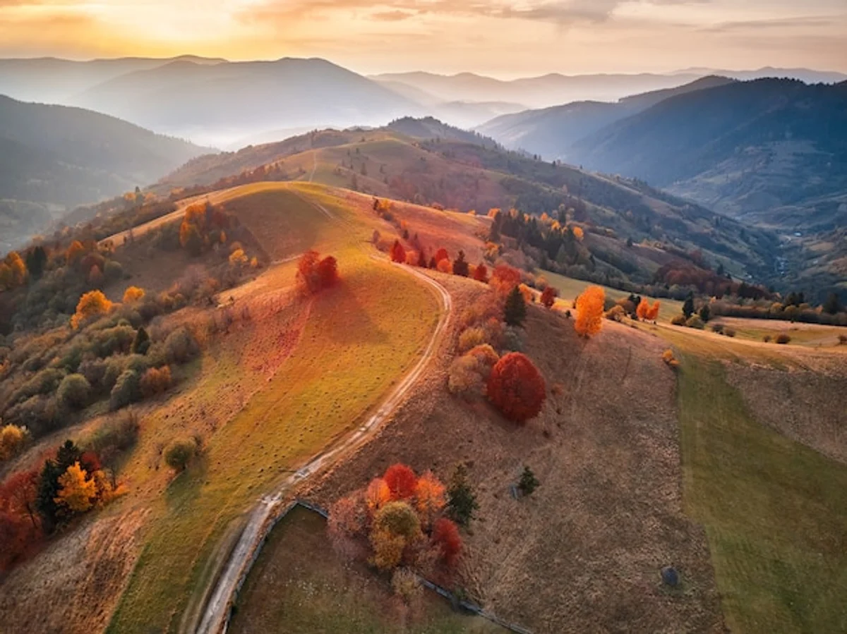 autumn foliage czech park gold red orange