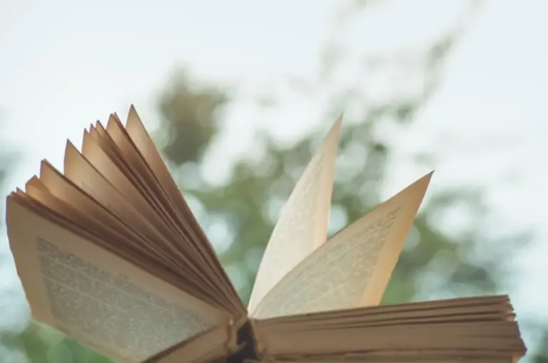 people reading science books autumn window rain