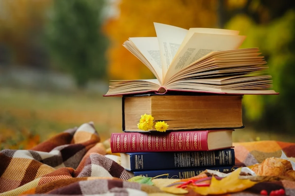 reading scientific articles on rainy autumn day