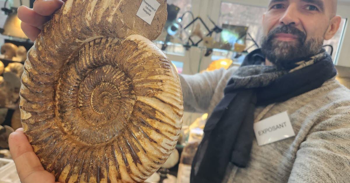 Haguenau: Hledání fosilií, lov pokladů stále více omezený