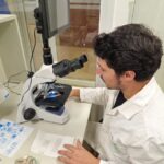 Institut misionářské biodiverzity (IMiBio) dosahuje mezinárodního úspěchu v oblasti výzkumu biodiverzity