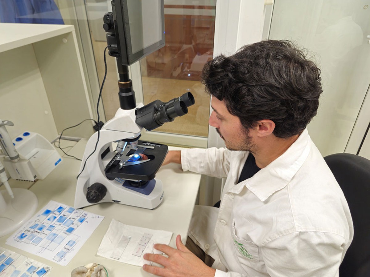 Institut misionářské biodiverzity (IMiBio) dosahuje mezinárodního úspěchu v oblasti výzkumu biodiverzity