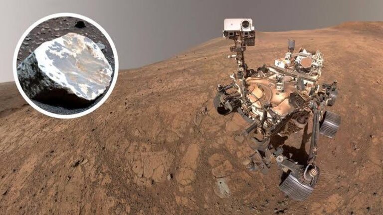 Mars-Fund naznačuje existenci tropického deštného pralesa na Marsu