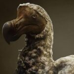 Návrat doda: Vědecký pokrok a jeho implikace