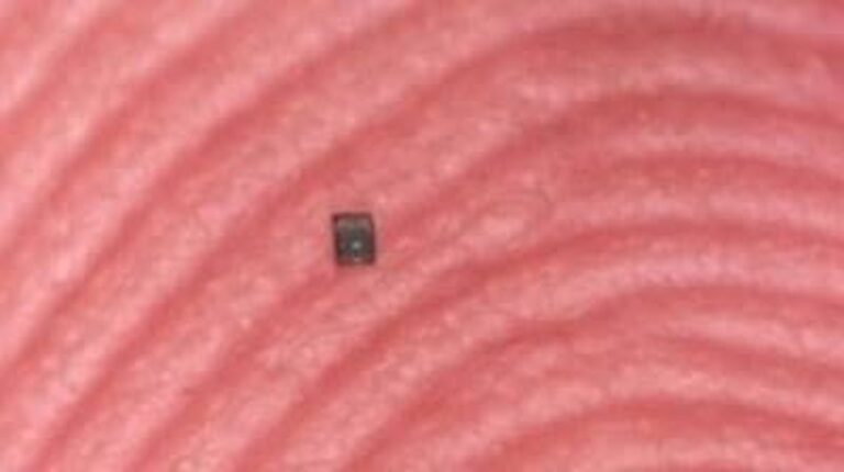 Nejmenší autonomní robot programovatelný v tekutině