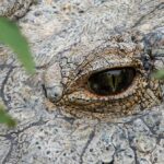 Nejnovější články