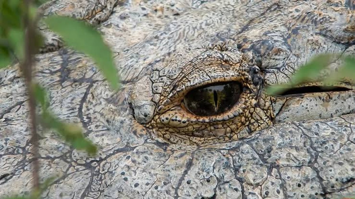 Nejnovější články