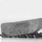 Nová éra inženýrských strojů inspirovaná mravenci