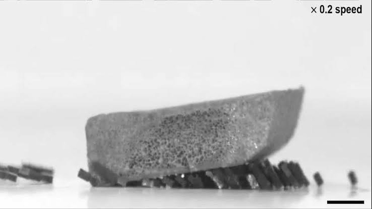 Nová éra inženýrských strojů inspirovaná mravenci