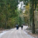 Nové druhy hmyzu objevené v chráněných lesích v Litvě