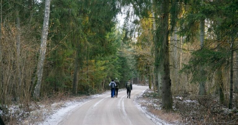 Nové druhy hmyzu objevené v chráněných lesích v Litvě