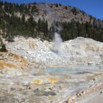 Objev améby, která může změnit pohled na biologii