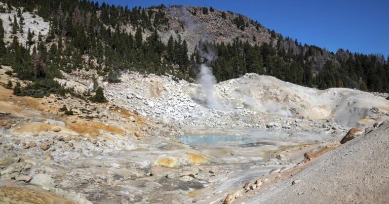Objev améby, která může změnit pohled na biologii