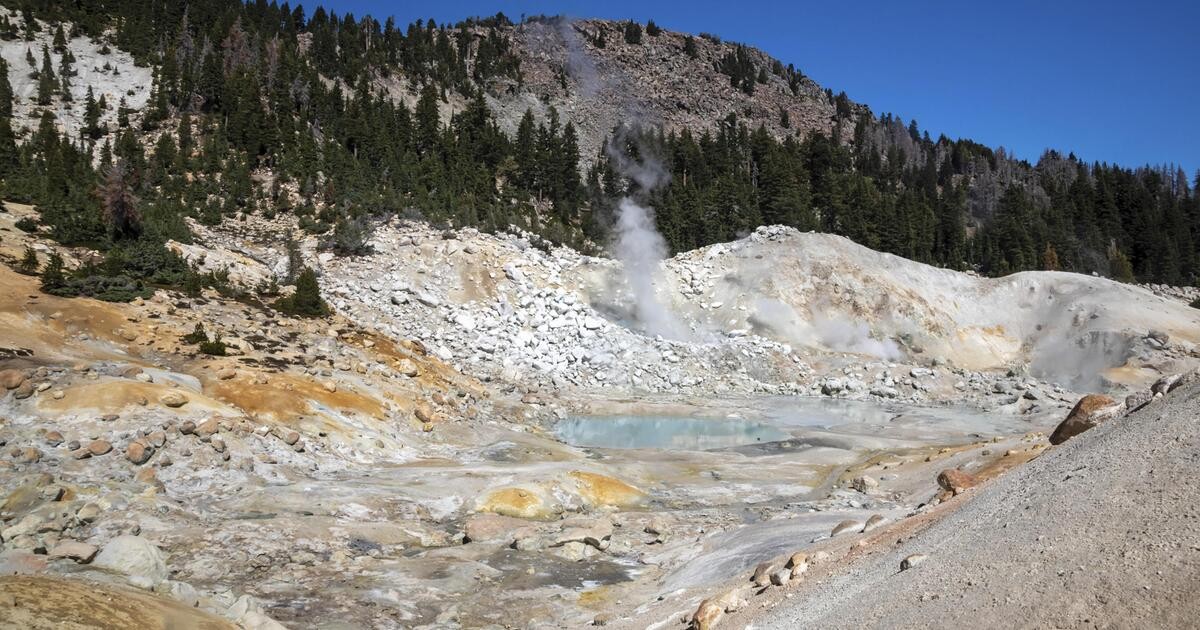 Objev améby, která může změnit pohled na biologii