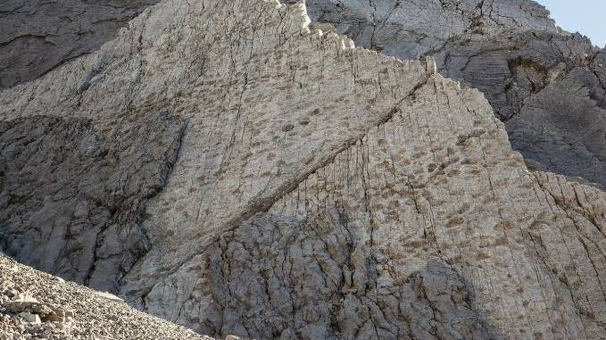 Objev dinosaurích stop ve 200 milionů let starých Alpech