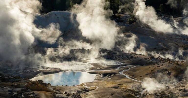 Objev nového druhu organismu s rekordní schopností přežití při vysokých teplotách