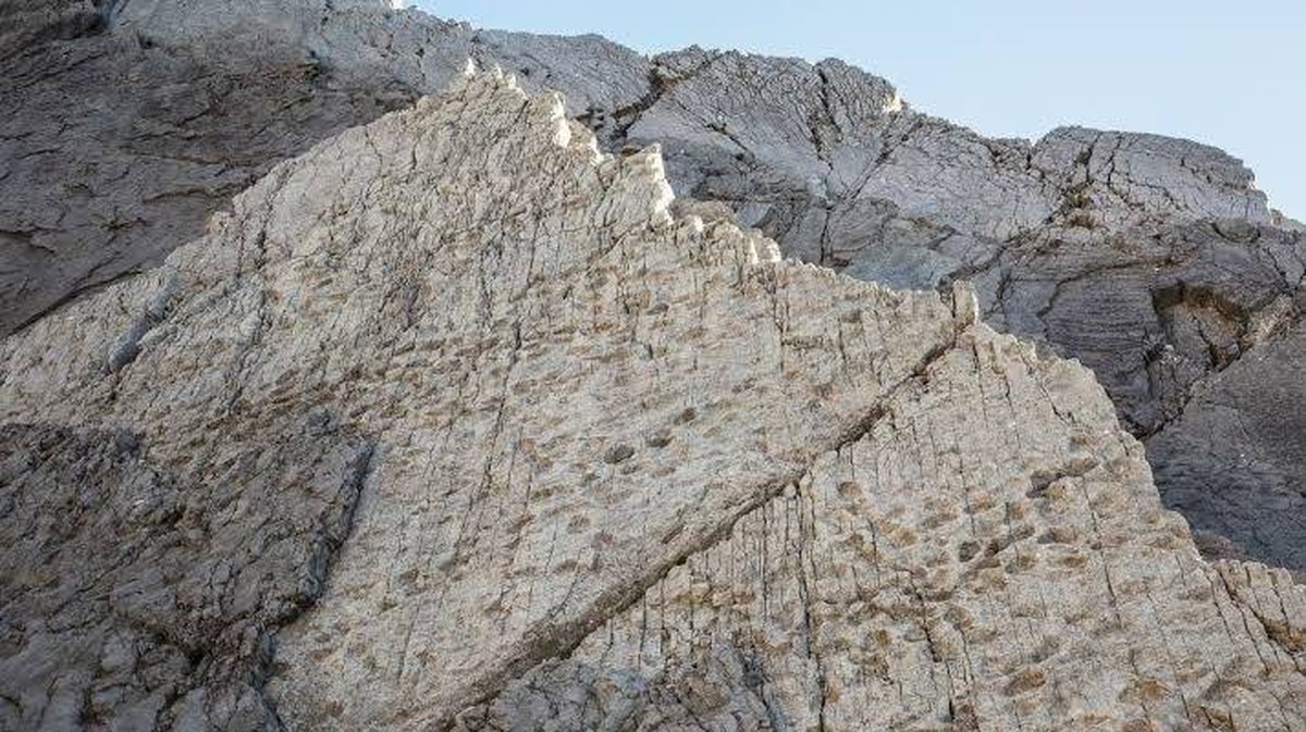 Objev starobylých dinosaurích stop v italském národním parku
