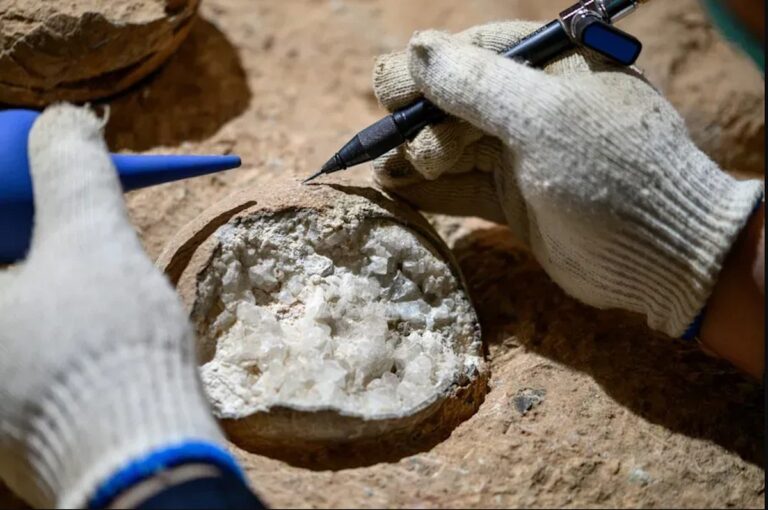 První přímé datování dinosaurích vajec