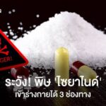 Rola a nebezpečí kyanidu: Co potřebujete vědět