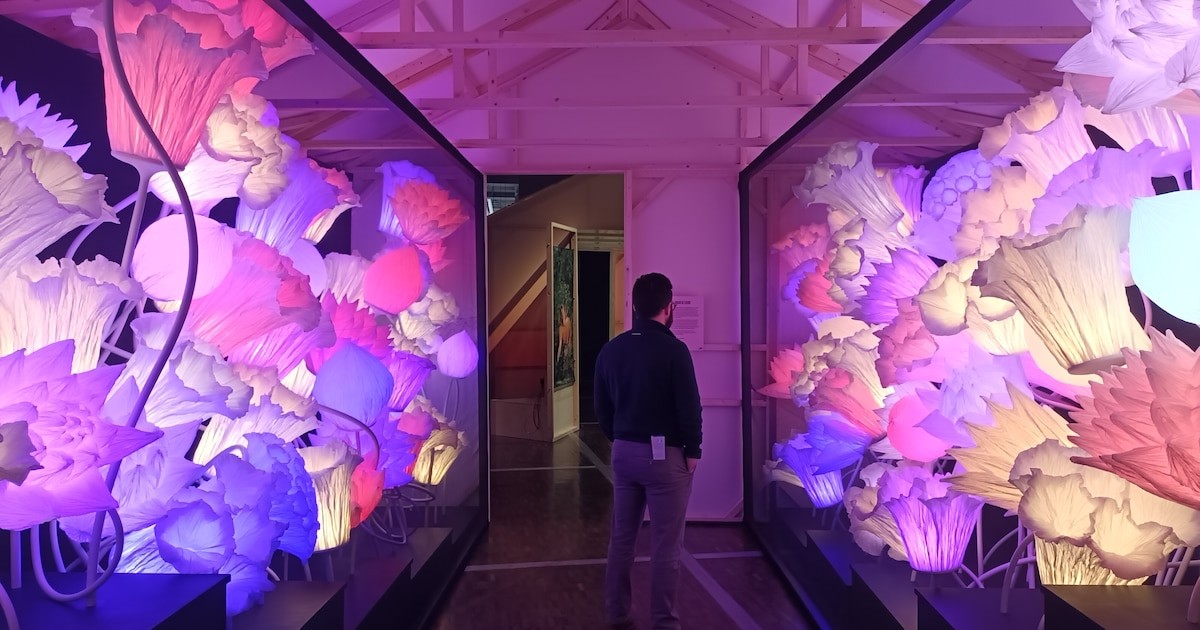 Strategie konvalinek a zelí monstra z Bruselu: Skrytá věda zahradničení