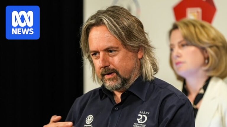 Testování rozkvětu řas vykazuje pozitivní známky před vrcholnými letními teplotami