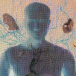 Úloha interocepce v našem vnitřním vnímání