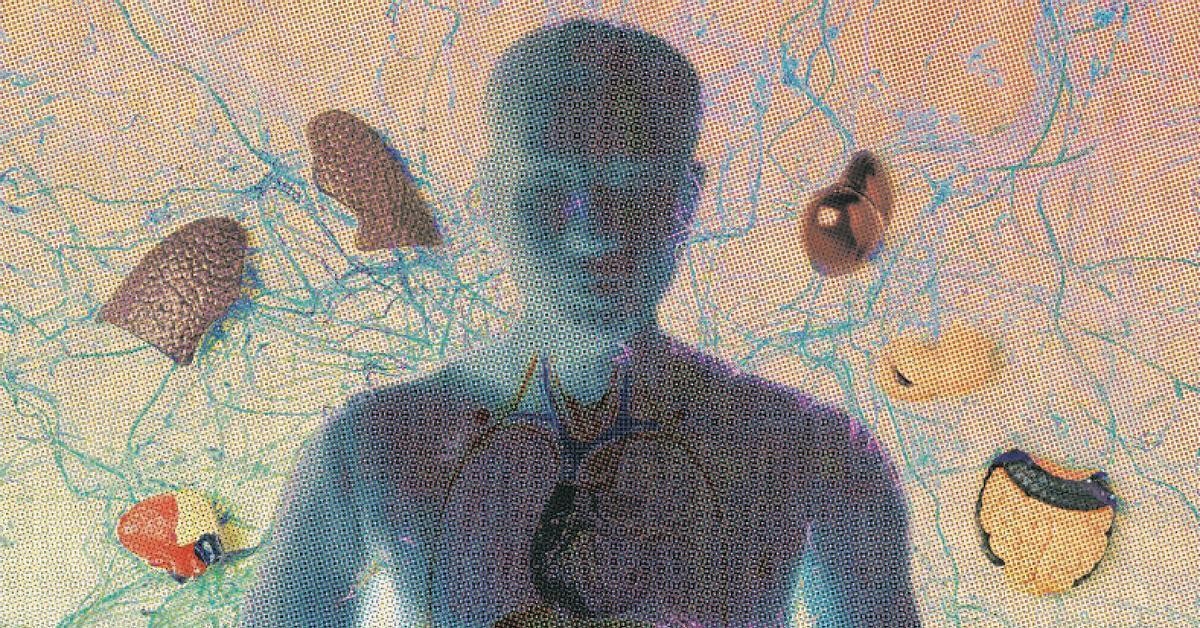 Úloha interocepce v našem vnitřním vnímání