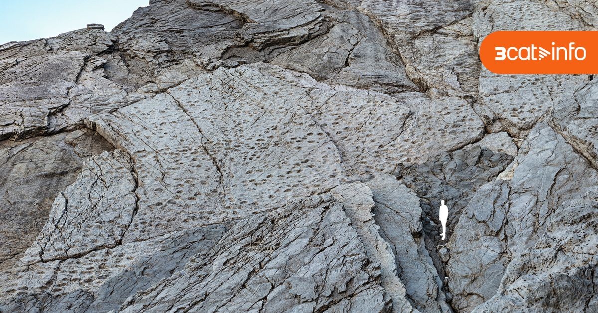 Úžasné objevy ve "Zemi dinosaurů": tisíce stop v italských Dolomitech