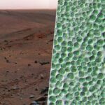 Význam bakterií při budování kolonizace Marsu
