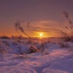 Zimní slunovrat: Nejkratší den a nejdelší noc v roce