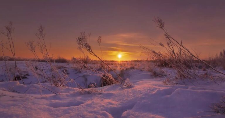 Zimní slunovrat: Nejkratší den a nejdelší noc v roce
