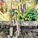 Životní cyklus můr a jejich chování