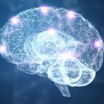 Znovuobjevení mozkové kůry: Pokroky v simulační neurologii