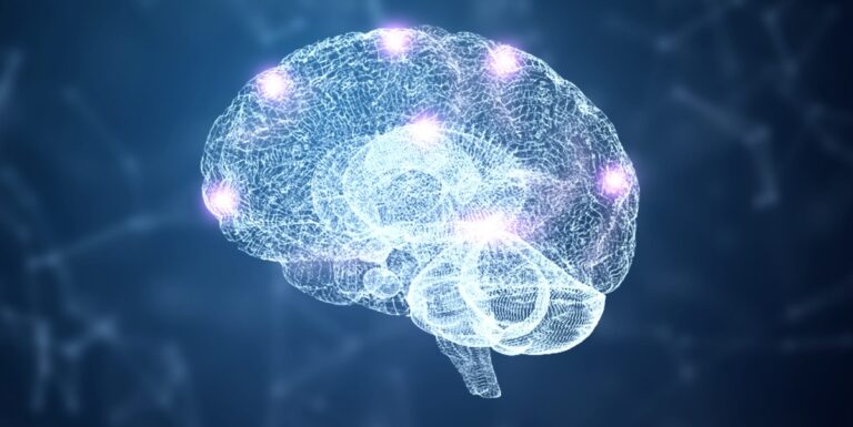 Znovuobjevení mozkové kůry: Pokroky v simulační neurologii