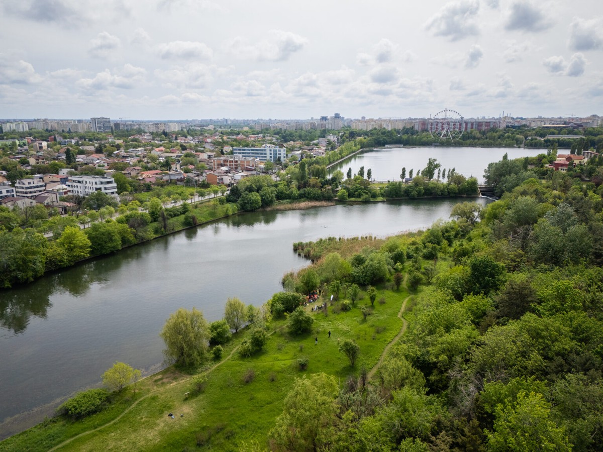 Bucureștiul Își Îmbogățește Biodiversitatea în 2025