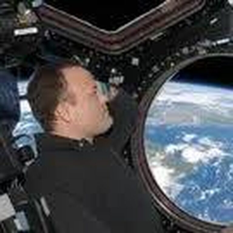 Doporučené články