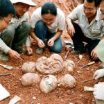 Fosilie dinosaurích vajec a jejich význam