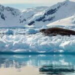 Historické objevy na Antarktidě: Nové mořské druhy a fascinující nálezy