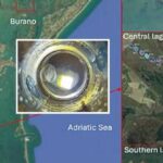 Hrozba invazivního druhu v benátské laguně